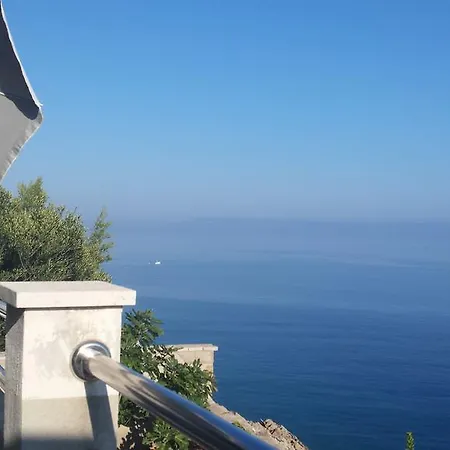 Holiday Jakov *